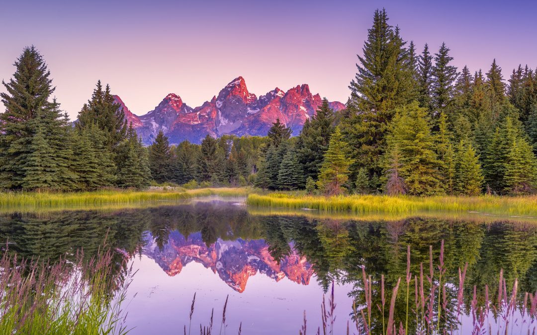 Spotlight on Jackson Hole Symposium
