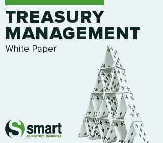 Treasury Management White Paper