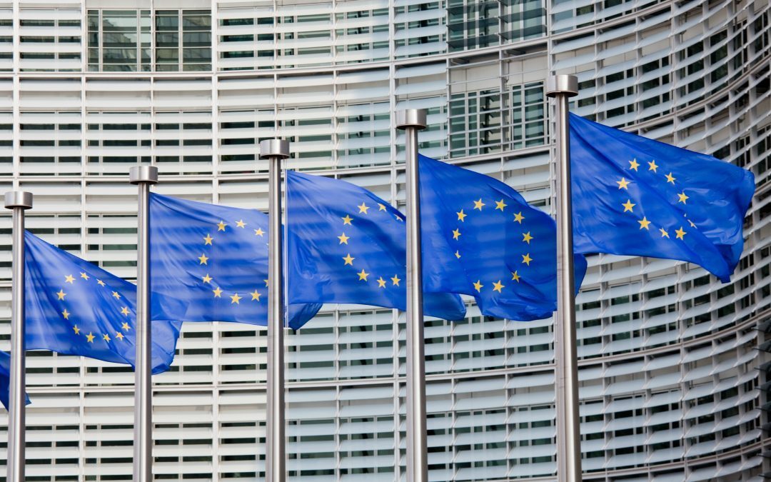 Article 50: Tusk to publish guidelines for Brexit negotiations