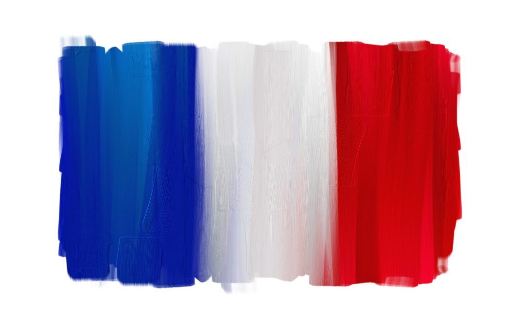 Vive la France but euro dips