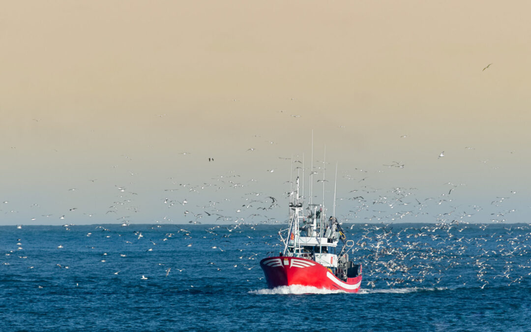 EU rejects UK proposal on fisheries