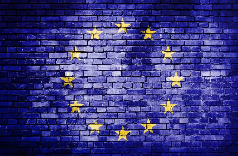european elections