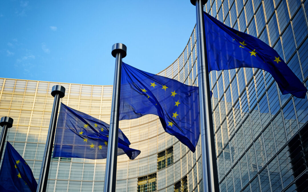 Barnier to brief EU members on Brexit progress