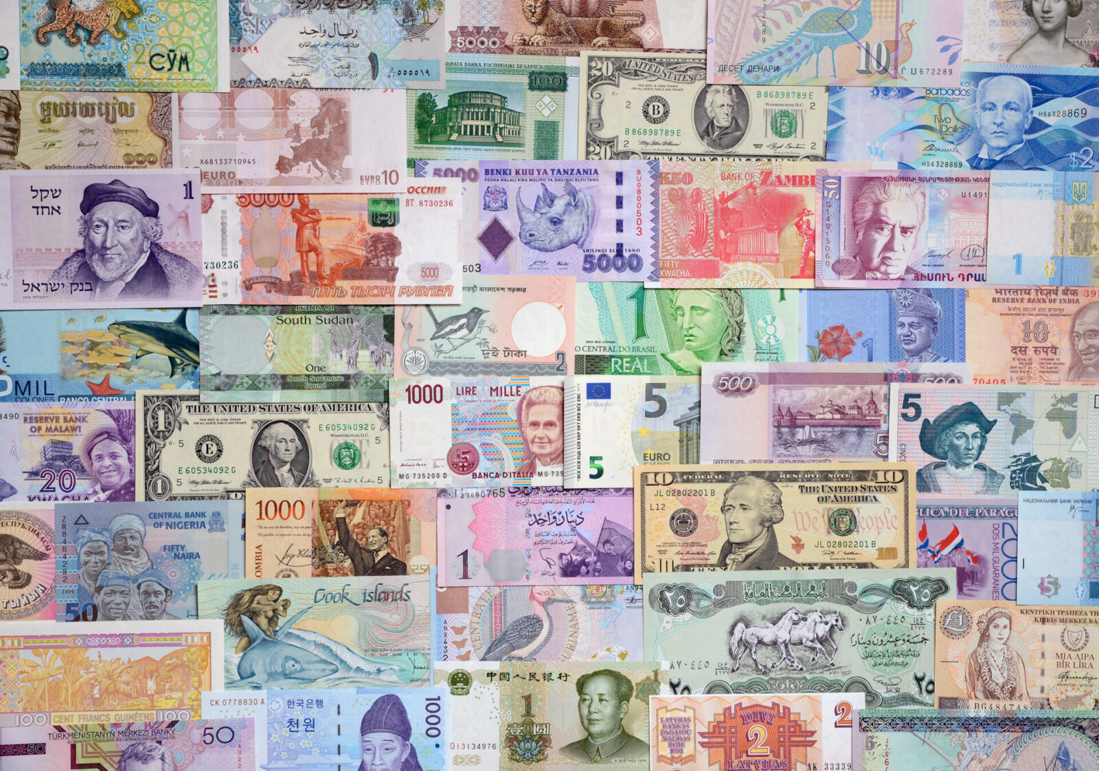 Global banknotes are stapled to the wall