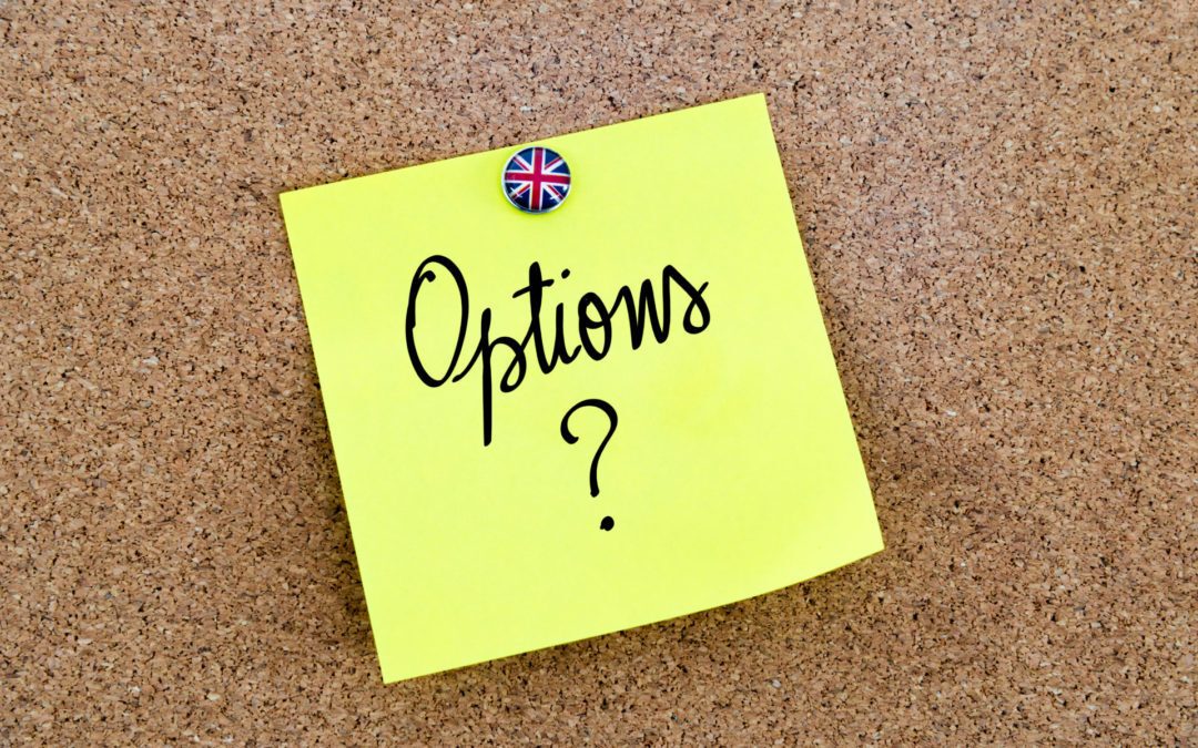 MPs to engage in second round of indicative votes