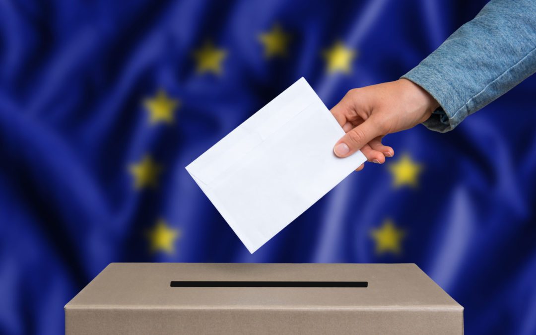 European Parliament Elections – what outcomes could we see?