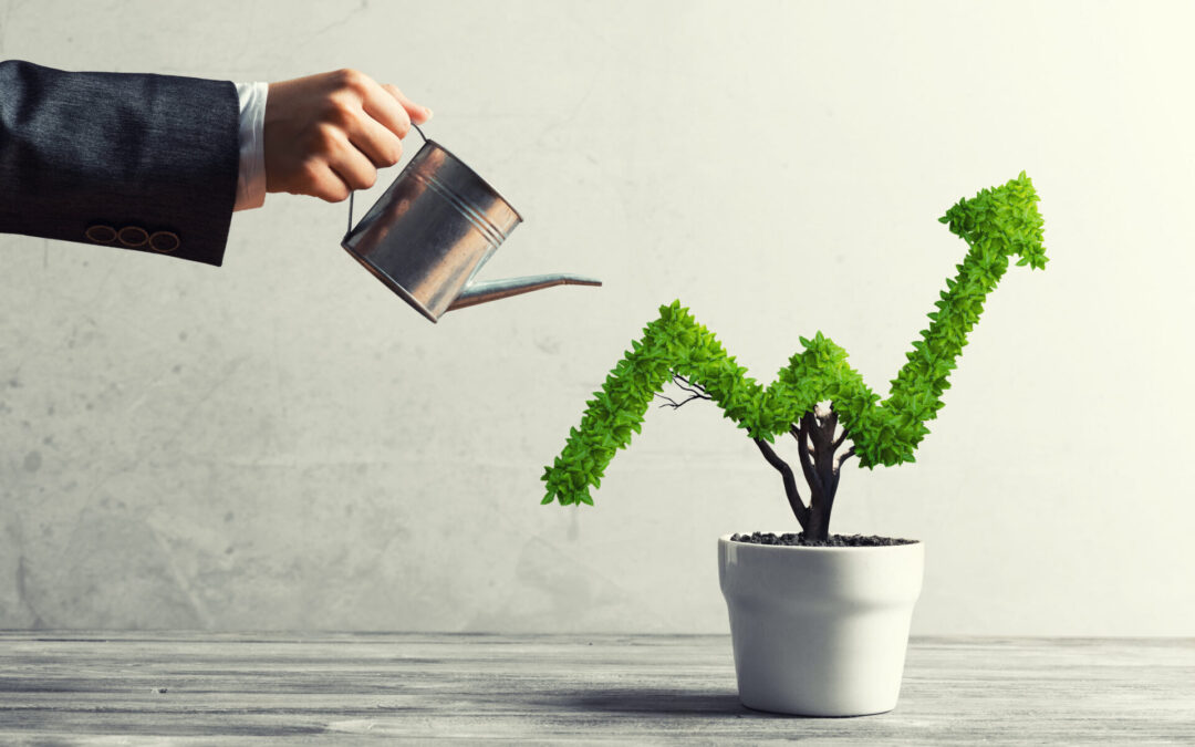 Hedging strategies to help any SME grow